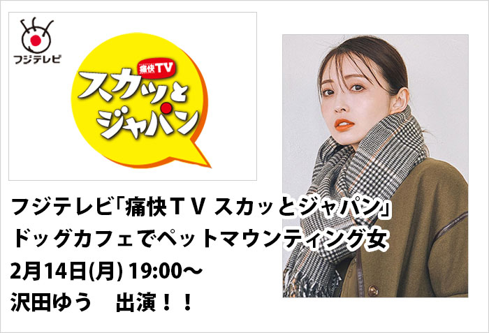 セントラルジャパン東京女性モデル、沢田ゆうが出演する、2月14日放送のフジテレビ、「痛快ＴＶ スカッとジャパン」のバナー画像